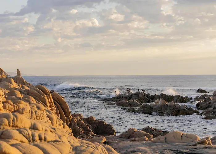 Park Hyatt Cabo Del Sol Hotel